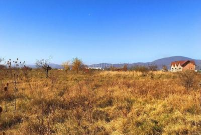 Teren investitie Ghimbav - 4