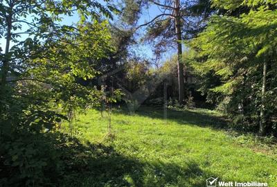 Casa veche, 3 camere, 978 m.p. teren, Grigorescu, locatie de vis - 4