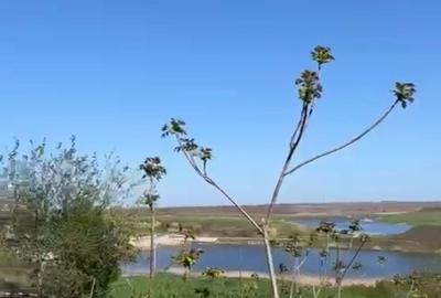 Spațiu comercial, în Măriuța - 3