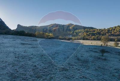 Teren Construcții intravilan de 654 mp, în Cheile Râșnoavei - 5