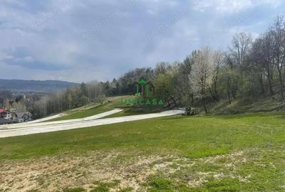 Teren intravilan - Calea Lui Traian - Zona Cetatuia - 3