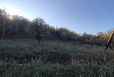 Spațiu comercial, în Borhanci