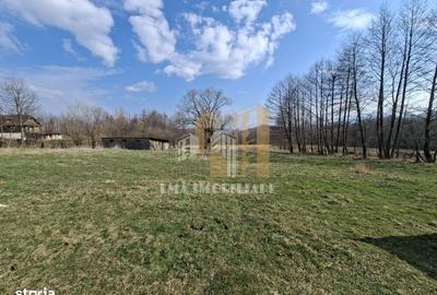 Teren de 1600 mp, în Tohănița - 3