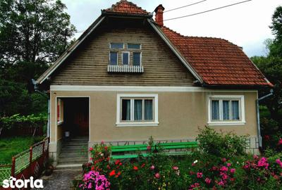 Teren de 4000 mp, în Bran - 2