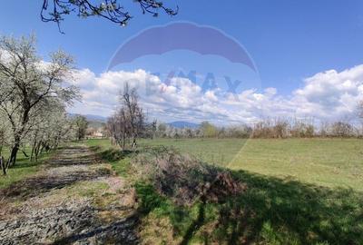 Teren intravilan pentru casa Carbunari - 10