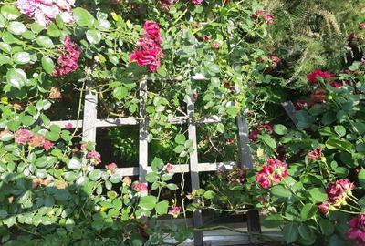 Casă cu 3 camere cu Teren 100 Mp în Central - 6