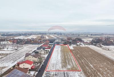 Teren intravilan de 5646 mp, în Stupini - 2