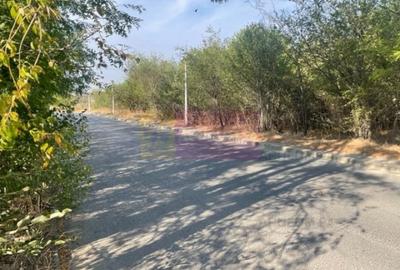 Teren Construcții intravilan de 5030 mp, în Prelungirea Ghencea