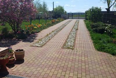 Casă cu 3 camere în Mărginenii de Sus - 8