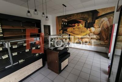 Spatiu comercial + casa individuala 3 camere, garaj dublu, Freidorf - 3