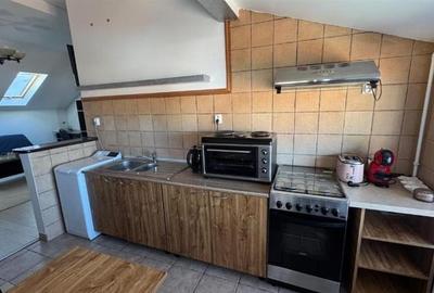 Studio deschis si la regim hotelier, priveliste frumoasa, pet friendly, loc parc - 9