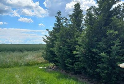 Spațiu comercial, în Ghercești - 1