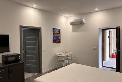 Camere studio ultracentral aproape facultate Medicina - 6