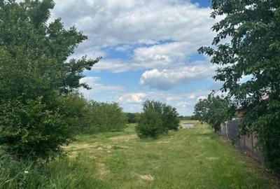 Teren Construcții intravilan de 3300 mp, în Uzunu - 1