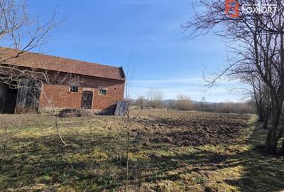 Casă individuală cu 4 camere cu Teren 1440 Mp în Bârzava - 3