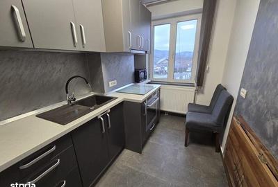 Garsonieră în Bârzava - 7