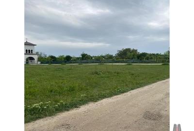 TEREN INTRAVILAN  852MP / FS 17ML / PIPERA / OXFORD / PADURE TEREN INTRAVILAN  852MP / FS 17ML / PIPERA / OXFORD / PADURE - 7