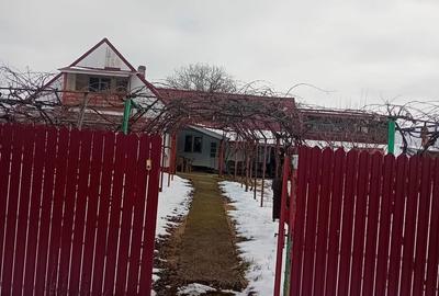 Casă cu 4 camere cu Teren 5000 Mp în Girov - 8