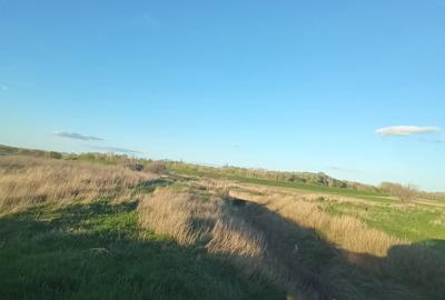 Teren de 5000 mp, în Drânceni - 3
