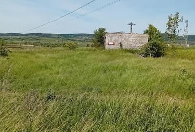 Teren intravilan de 5600 mp, în Central - 5