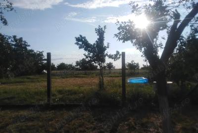 Casă cu 3 camere în Periam - 3