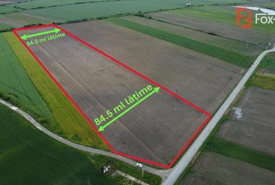 Teren Construcții intravilan de 40600 mp, în Bucovăț (Remetea Mare) - 1