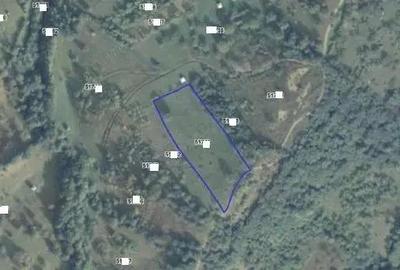 Teren extravilam, loc. Rona de Sus, jud. Maramure?, - 2