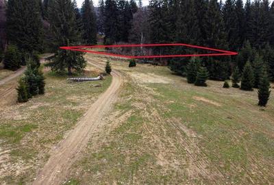 Teren intravilan de 1000 mp, în Poiana Brașov - 3