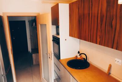 Apartament cu 2 camere decomandat, mobilat în Banat - 15