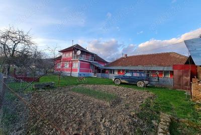 Casa de vanzare in inima naturii sat Dobrot, jude?ul Hunedoara - 3