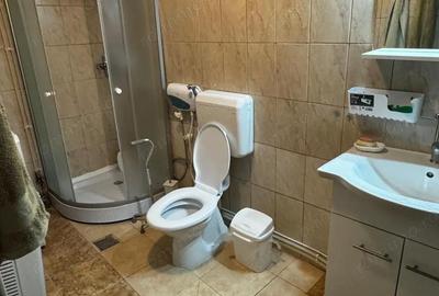 Casă cu 6 camere cu Canalizare în Delfinariu - 20