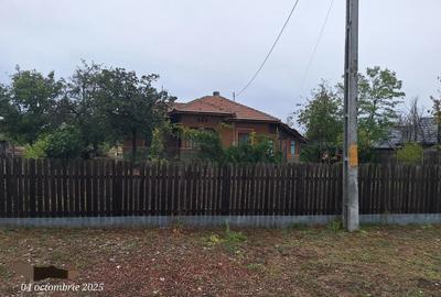 Casă cu 6 camere cu Teren 3555 Mp în Ileana - 9