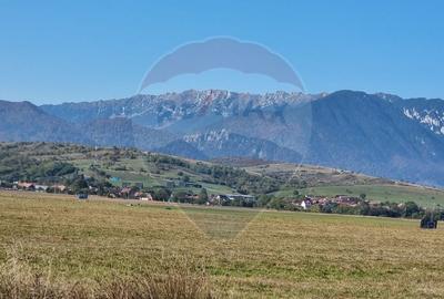 Teren unic de 16,391 mp/Extravilan/Rasnov - 3