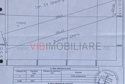 Teren Gruiu - 5000 mp - doua deschideri - intravilan - 4