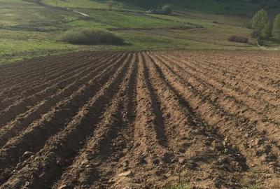 Spațiu comercial, în Mărișel - 3