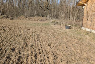 Spațiu comercial, în Fântânele