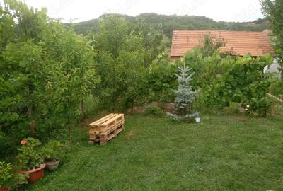 Casă cu 3 camere cu Teren 1400 Mp în Amnaș - 3