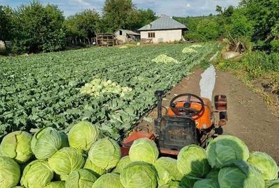 Casă cu 4 camere în Slobozia Corni - 1