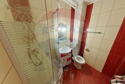 Apartament cu 2 camere de vanzare pe str. Traian - 5