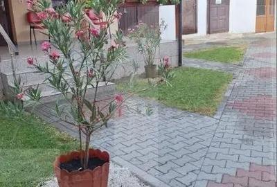 Spa?iu comercial in Lipova, Arad Investi?ie cu randament si chiria?i existen?i - 1