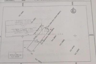 Teren intravilan 2.500 mp Aduna?ii Copaceni | Container inclus + pu? - 3
