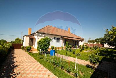 Casă cu 7 camere cu Canalizare în Turnu - 3