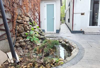 Voluntari, Andronache, vila P+1+M renovata, curte amenajata Voluntari, Andronache, vila P+1+M renovata, curte amenajata - 25