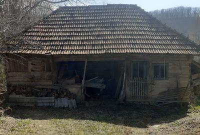 Casă cu 2 camere în Luncșoara - 3