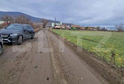 Teren de 1500 mp, în Central - 1