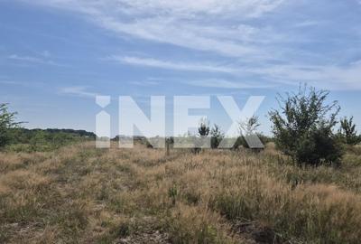 Teren intravilan de vanzare in Trivale - zona Magic | 500 mp - 2