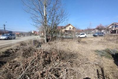 Teren de 500 mp, în Sigmir - 3