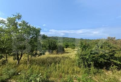 Teren intravilan, de vanzare, 1252 mp, zona Arghires - 2