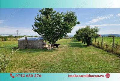 Un colt de rai pe-un picior de plai! CE1210 - 7