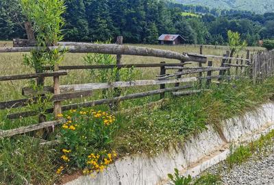 Teren intravilan de 5000, plat, orizontal la poalele muntelui, pe malul Doftanei - 9